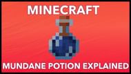 (Image via Rajcraft on Youtube)